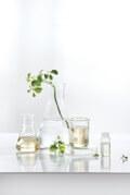 Multivitamin Complex
